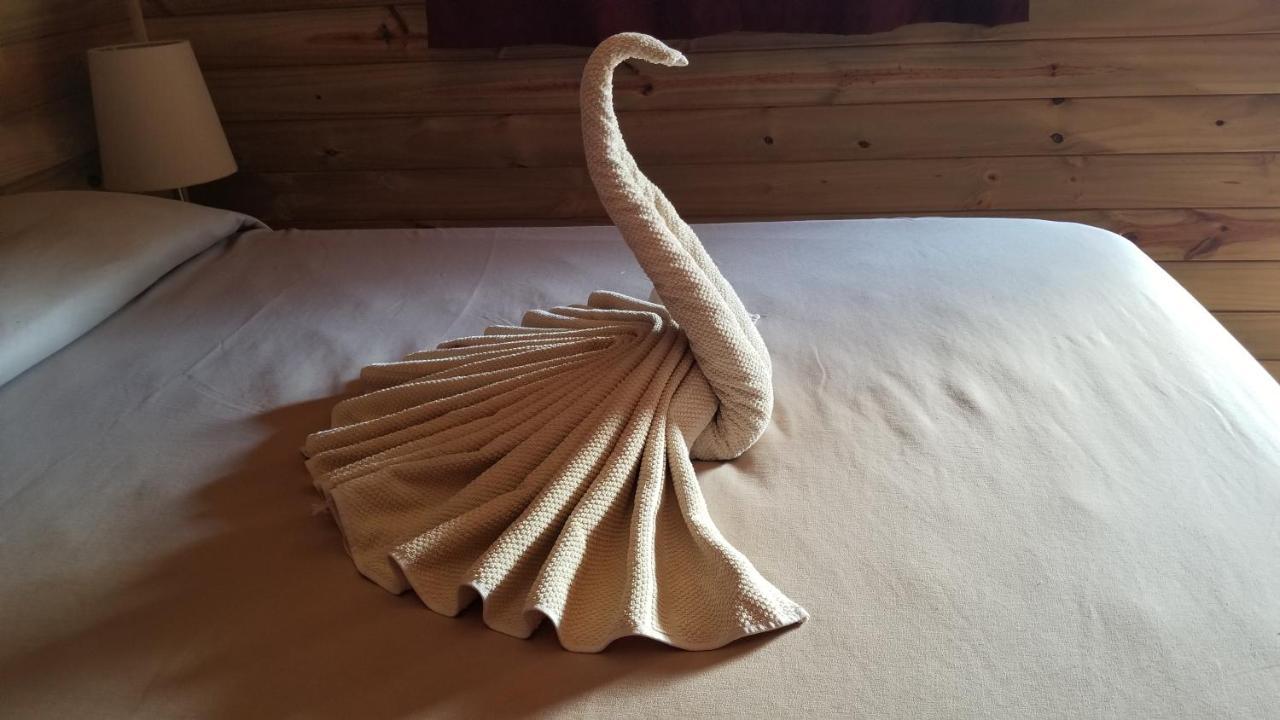 El Paraiso Bed and Breakfast Uvita Zewnętrze zdjęcie